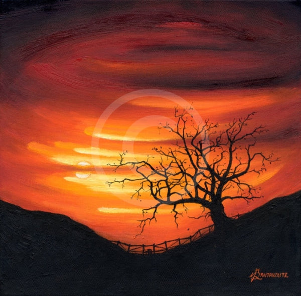 ORIGINAL Sanguine Sunset, The Lonely Tree by Mark Braithwaite