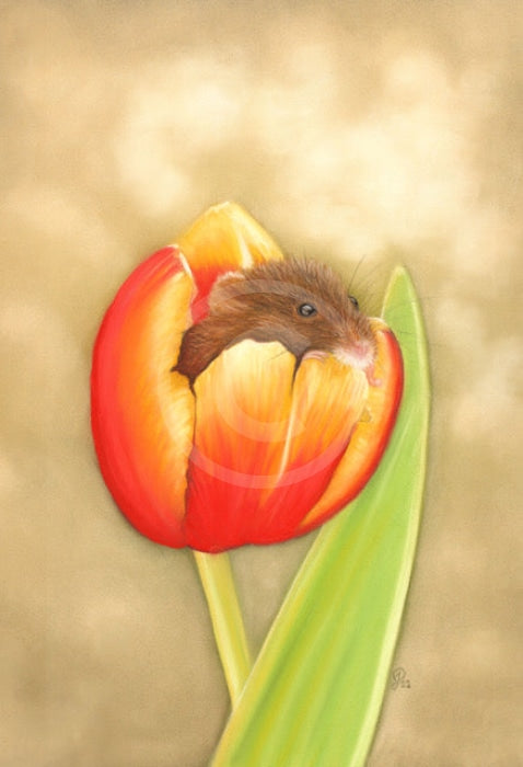Pikachu (Mouse on Tulip) by Janine Lees