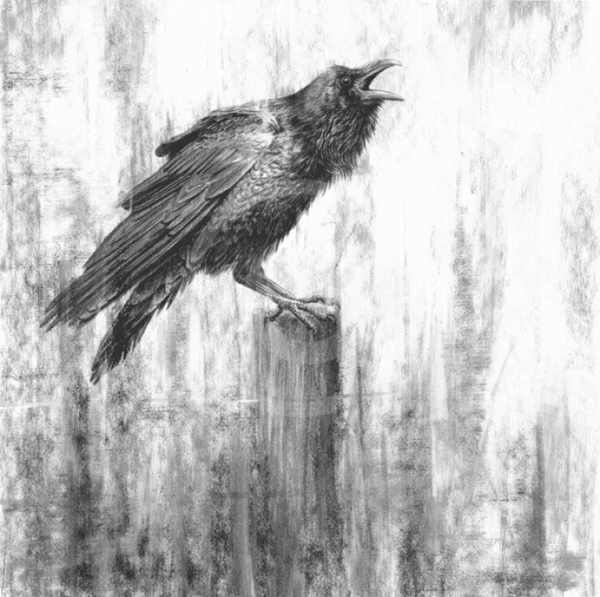Raven III by Nolon Stacey