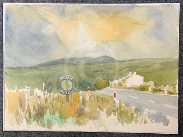 Ribblesdale - John Bastin ORIGINAL WATERCOLOUR