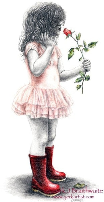 Rosebud 24 - A Kiss From A Rose By Mark Braithwaite