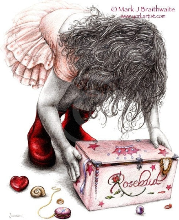 Rosebud 33 - Magic Box By Mark Braithwaite