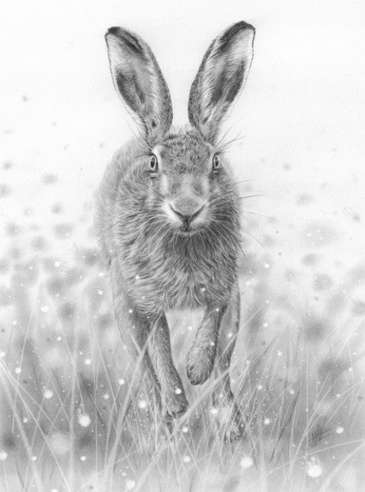 Running Hare By Nolon Stacey
