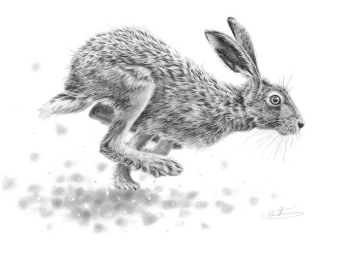Running Hare Ii By Nolon Stacey