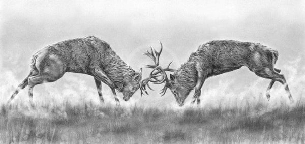 Rutting Stags By Nolon Stacey