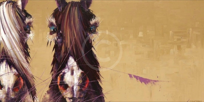 Shadow Play, Equestrian Horse Print by Amanda Stratford 
