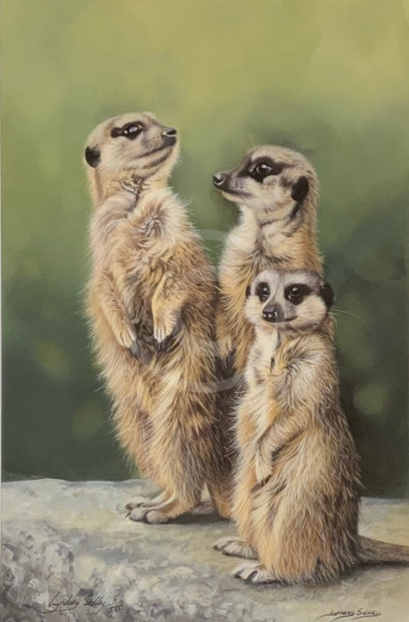 ‘Simples’ Limited Edition Meerkat Print by Lyndsey Selley