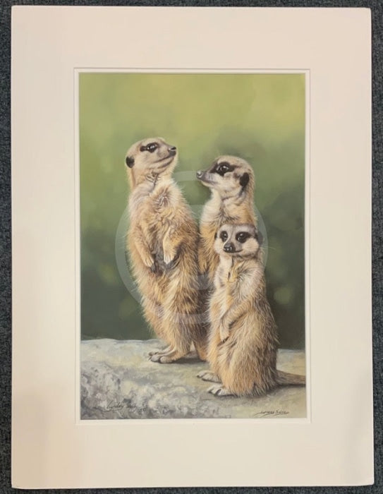 ‘Simples’ Limited Edition Meerkat Print by Lyndsey Selley