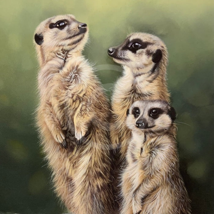 ‘Simples’ Limited Edition Meerkat Print by Lyndsey Selley