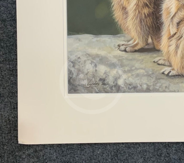 ‘Simples’ Limited Edition Meerkat Print by Lyndsey Selley