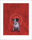 Small Dog By Sam Toft