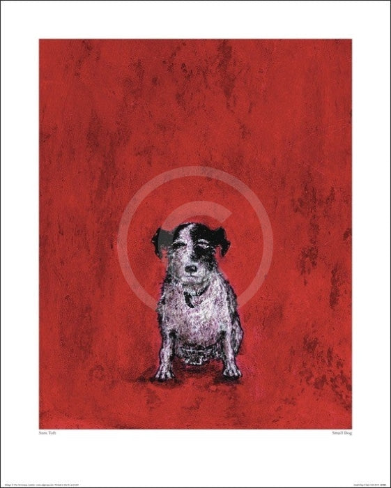 Small Dog By Sam Toft