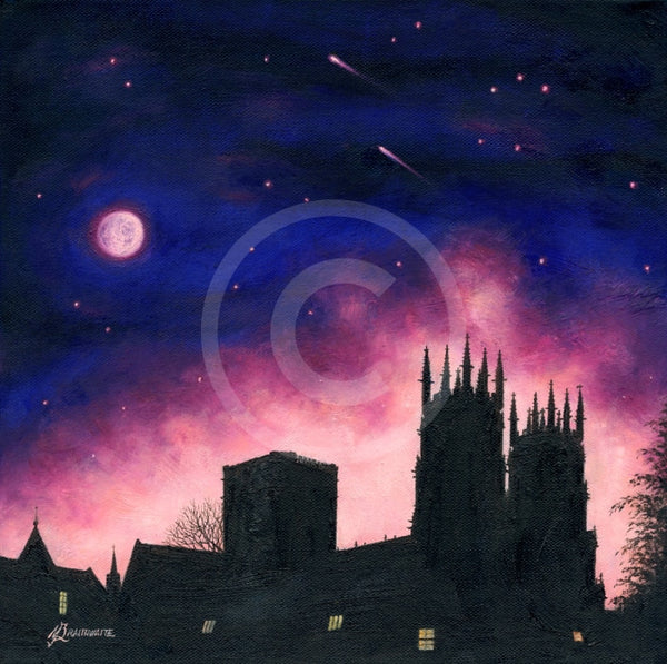 Starry Night, York Minster from Deans Park, Auriga by Mark Braithwaite