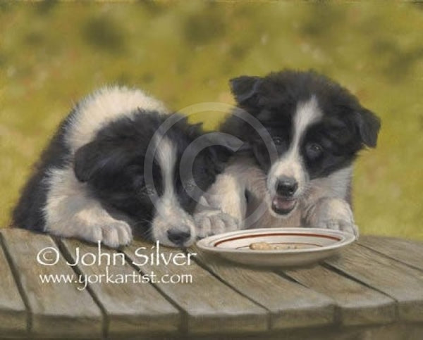 The Last Biscuit By John Silver