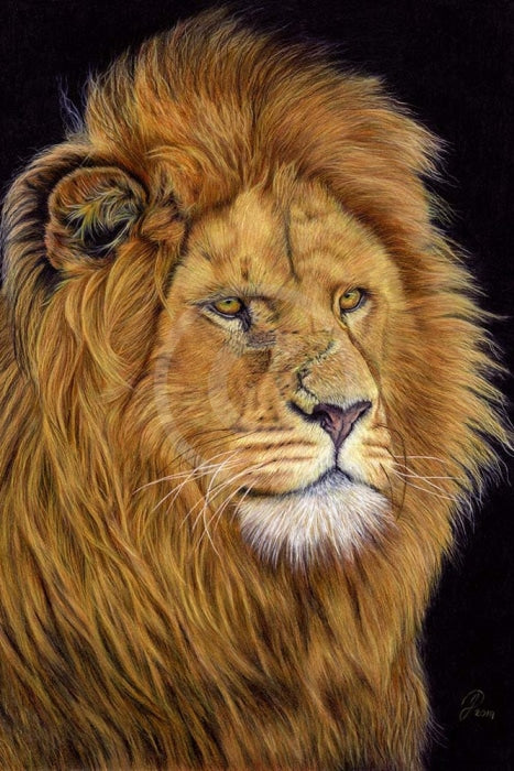 The Night Watchman (Lion) by Janine Lees