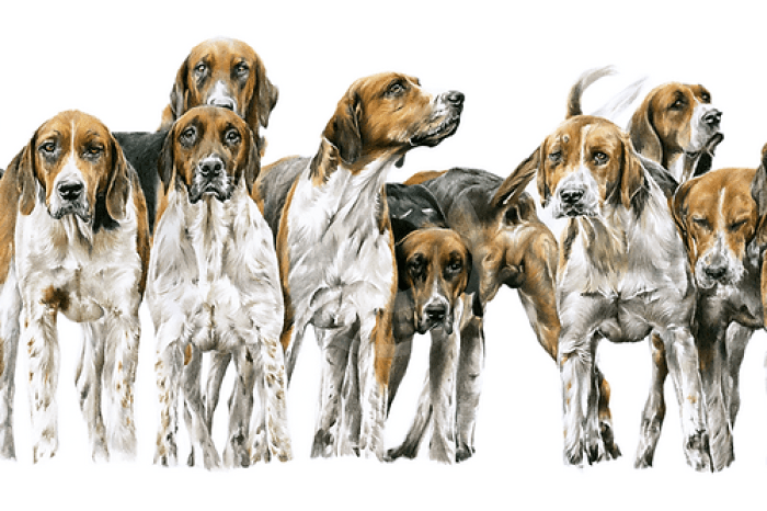 There's Always One, Foxhounds by Nicola Gillyon