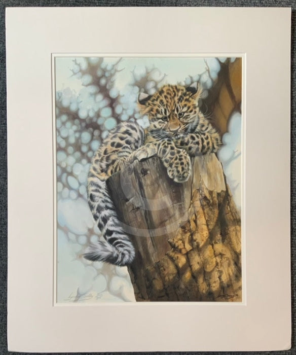 This Is Such Hard Work,  Limited Edition Wildlife Big Cat Cheetah Print by Lyndsey Selley