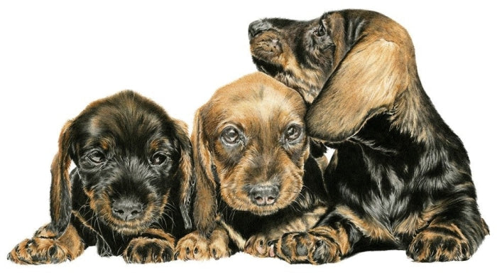 Trouble Ahead By Nicola Gillyon 300 X 400Mm / White Mount