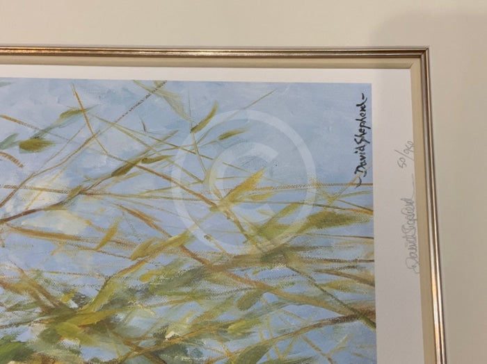 Up A Gumtree By David Shepherd Limited Edition Koala Print- Last One