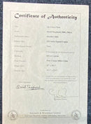 Up A Gumtree by David Shepherd Limited Edition Koala Print- Last One