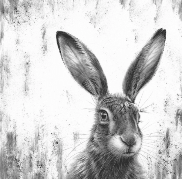 Watching Hare III by Nolon Stacey