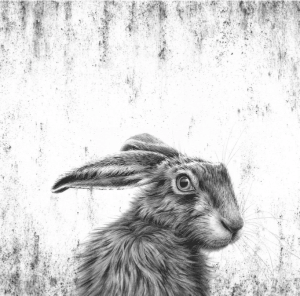 Watching Hare Square by Nolon Stacey