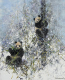 Winter in Wolong by David Shepherd