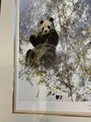 Winter in Wolong by David Shepherd, Panda Wildlife Limited Edition Print. LAST ONE