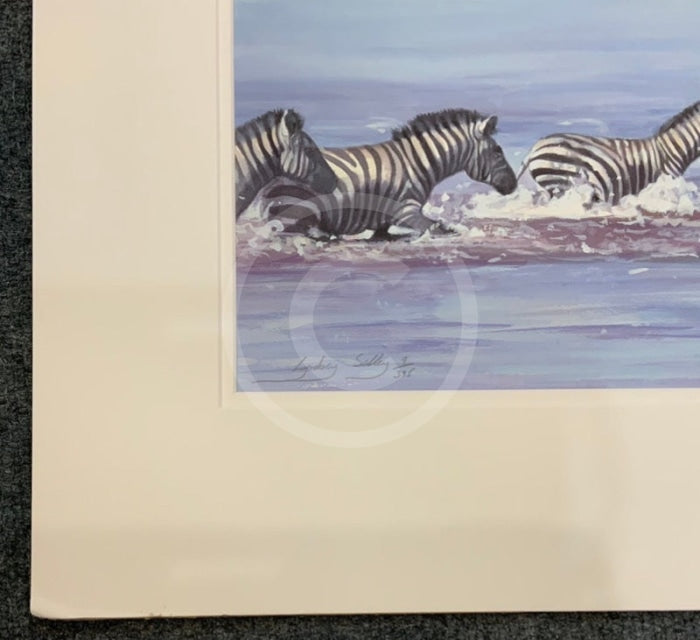 Zebra In Water, Limited Edition Zebra Print by Lyndsey Selley