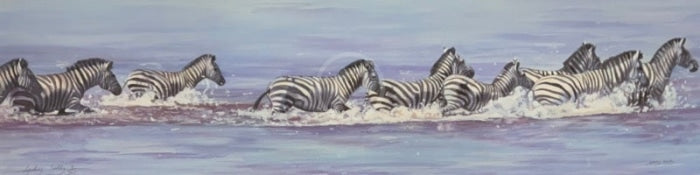 Zebra In Water, Limited Edition Zebra Print by Lyndsey Selley