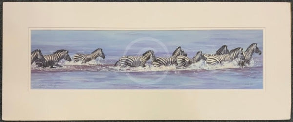 Zebra In Water, Limited Edition Zebra Print by Lyndsey Selley